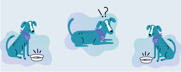 Gestion des erreurs & design UX
